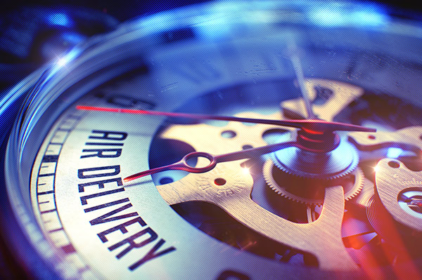 Time-Critical-Logistics