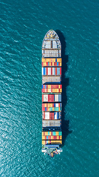 Import-and-Export